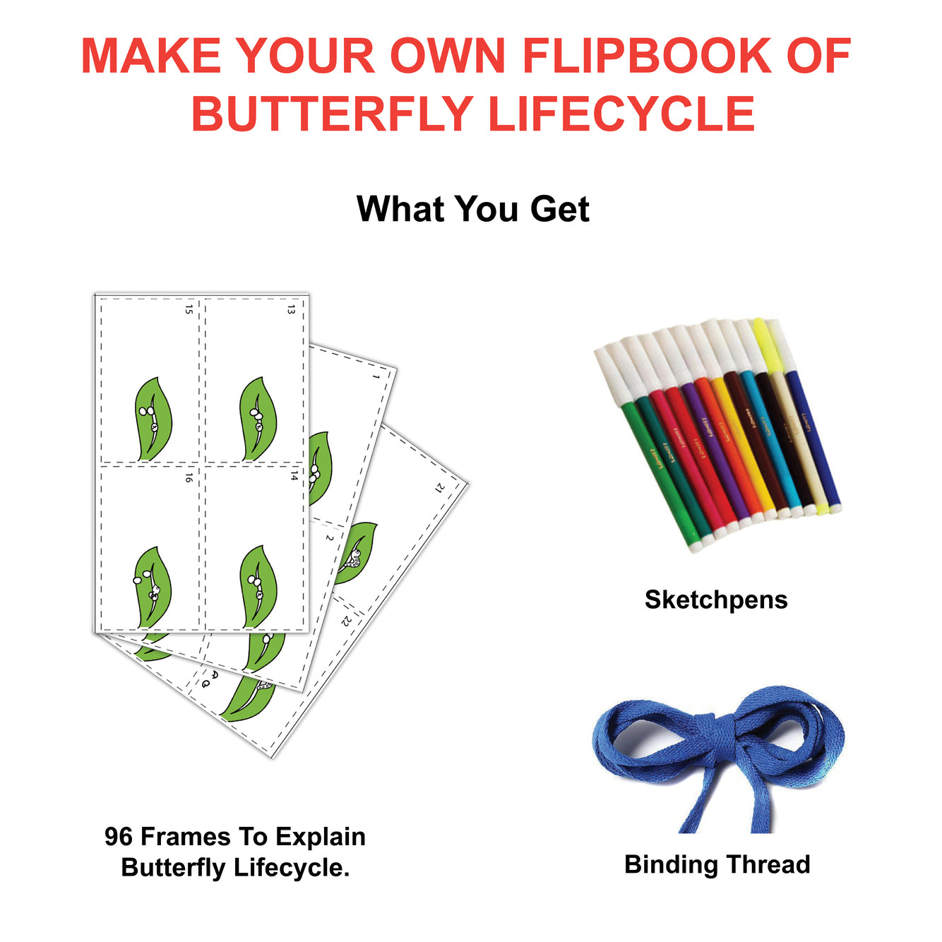 Flipbook Science Animation Toy, Age 6+